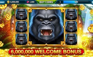 Bronze tier badge with member benefits list